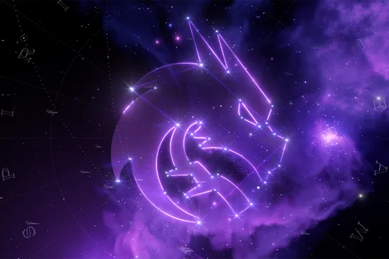 Skin's image