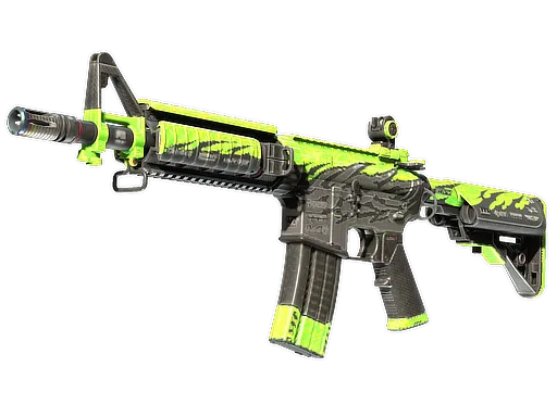 Skin's image