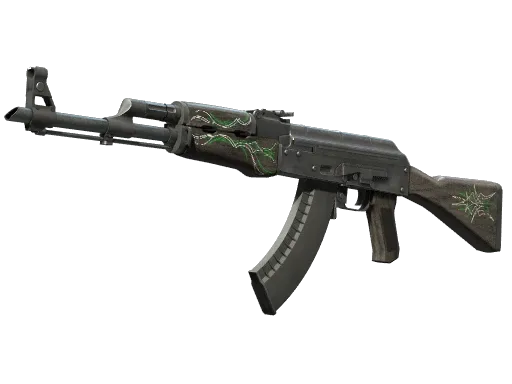 Skin's image