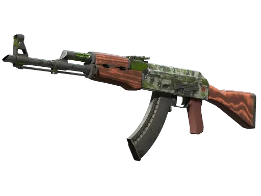 Skin's image
