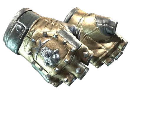 Skin's image