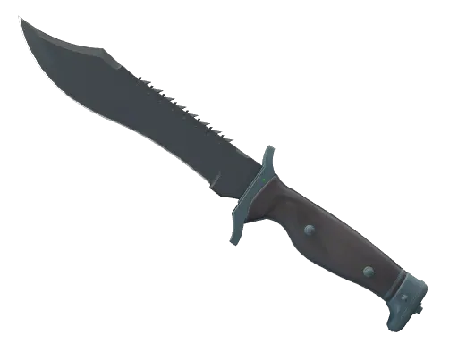 Skin's image