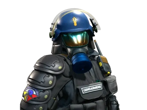 Skin's image