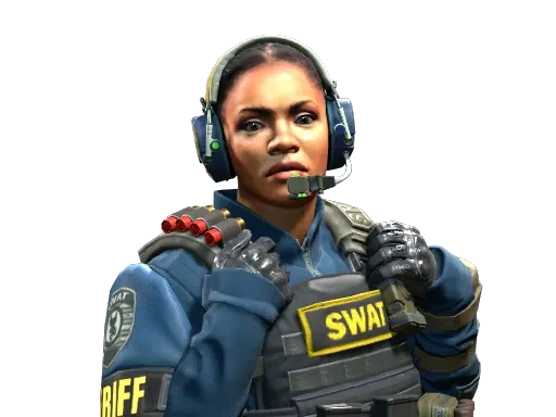 Skin's image
