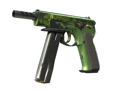 Skin's image