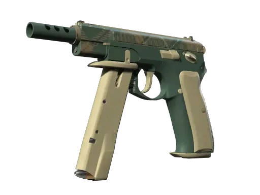 Skin's image