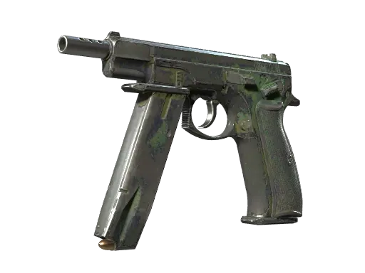 Skin's image