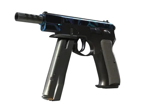 Skin's image