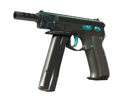 Skin's image