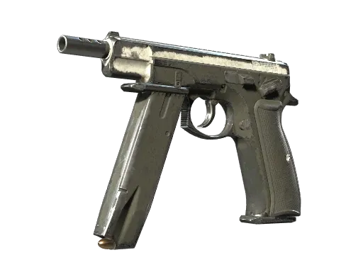 Skin's image
