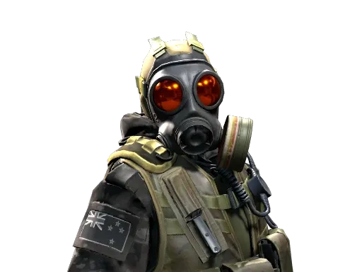 Skin's image