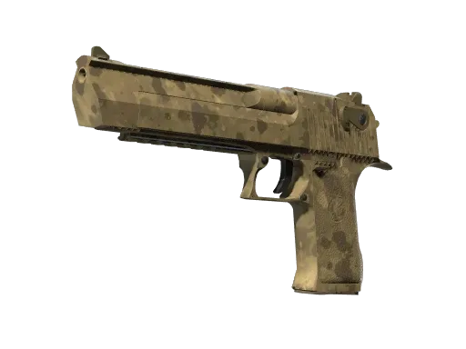 Skin's image