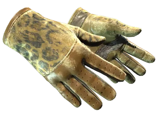 Skin's image