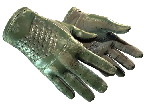 Skin's image