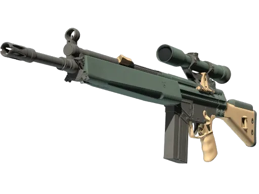 Skin's image