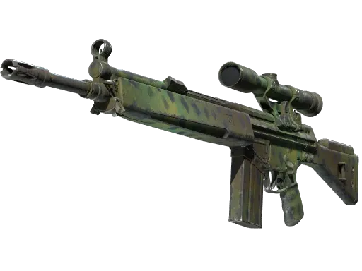 Skin's image