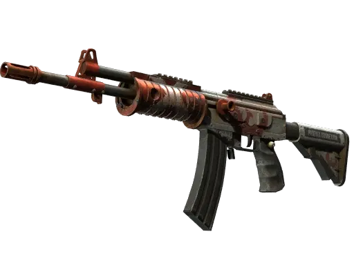 Skin's image