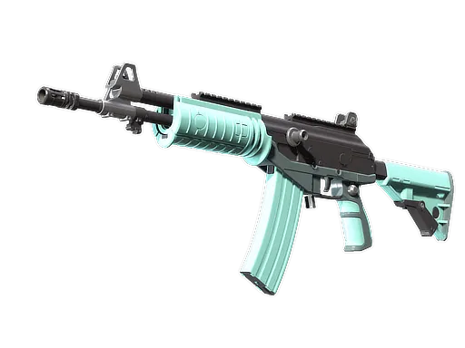 Skin's image