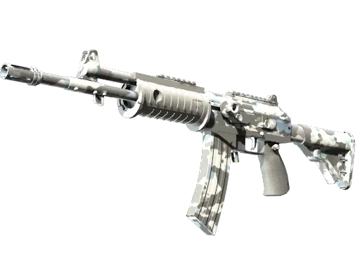 Skin's image