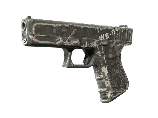 Skin's image