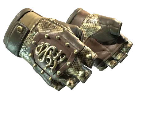 Skin's image