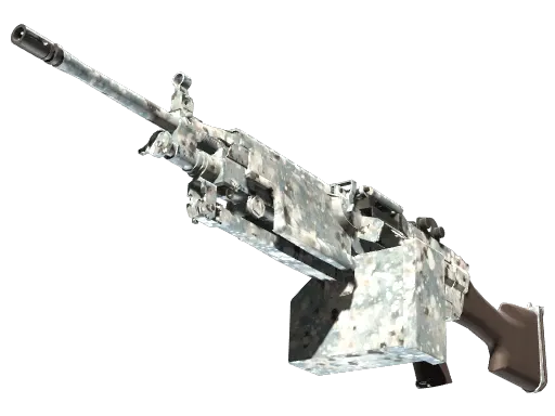 Skin's image