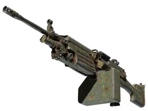 Skin's image