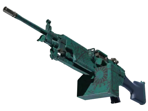Skin's image