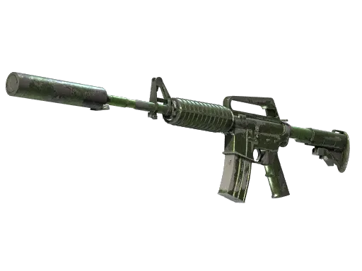 Skin's image
