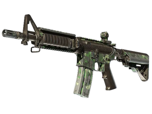 Skin's image