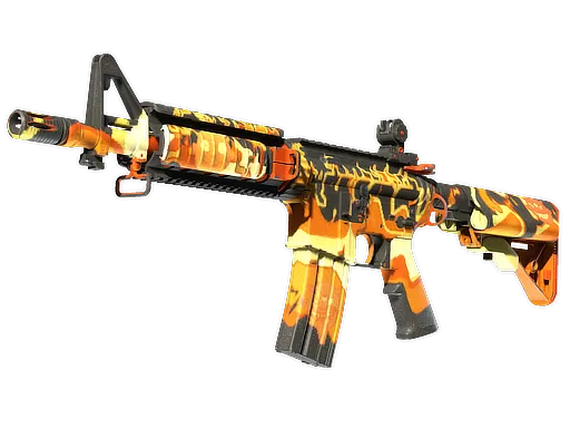 Skin's image