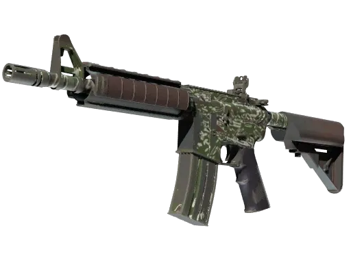 Skin's image