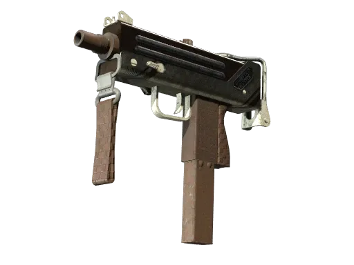 Skin's image
