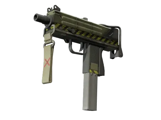 Skin's image