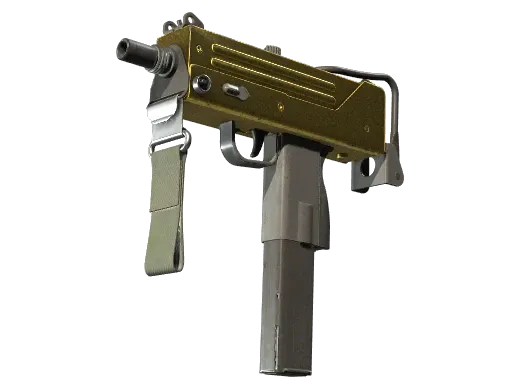 Skin's image