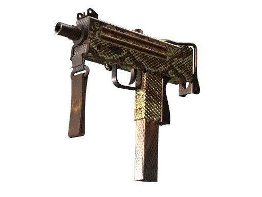 Skin's image