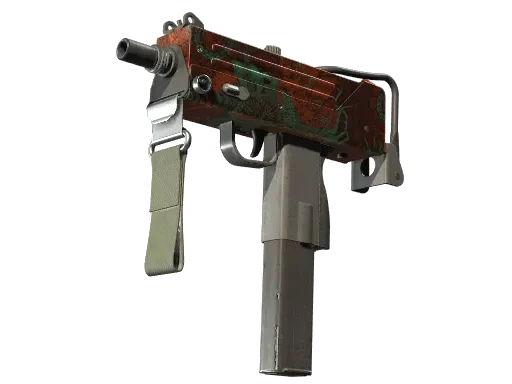Skin's image