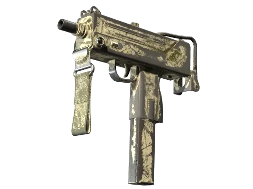 Skin's image