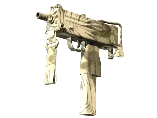 Skin's image