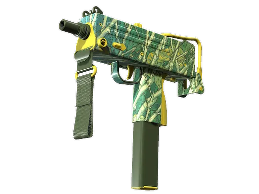 Skin's image