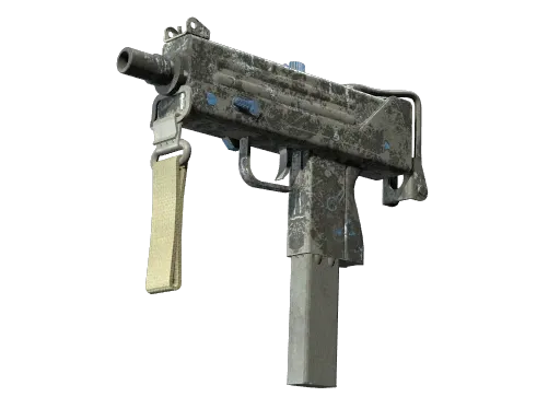 Skin's image