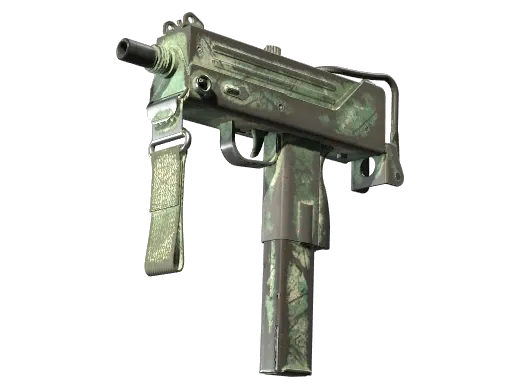 Skin's image