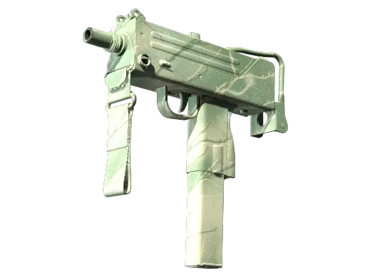 Skin's image