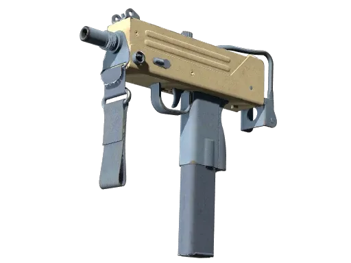 Skin's image
