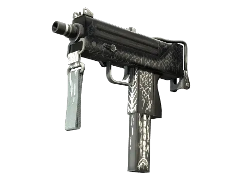 Skin's image