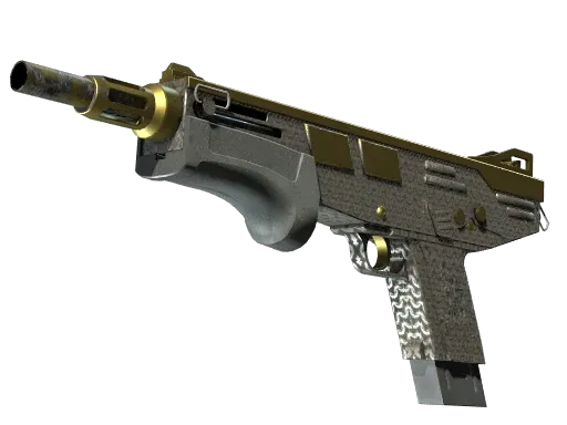 Skin's image