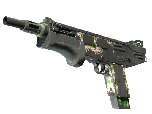 Skin's image