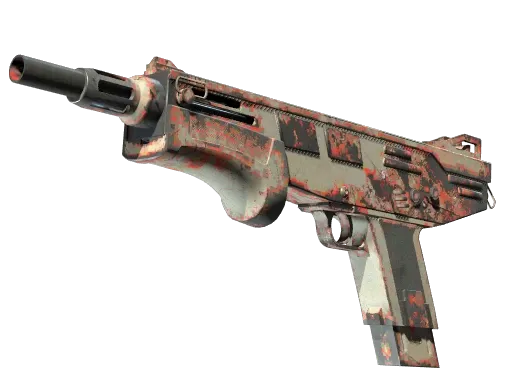 Skin's image
