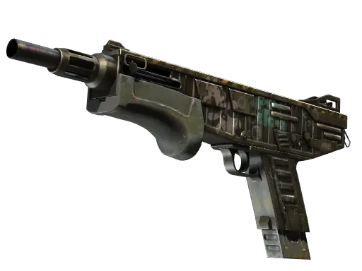 Skin's image