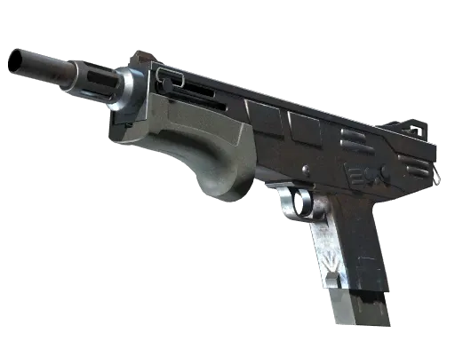 Skin's image